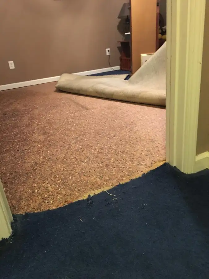 Carpet pad removal revealing water damage during Drying & Dehumidification in Portales